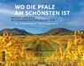 Wo die Pfalz am schönsten ist - Michael Landgraf - 9783780140111