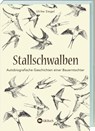 Stallschwalben - Ulrike Siegel - 9783784355832