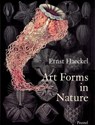 Art Forms in Nature - Olaf Breidbach ; Irenaus Eibl-Eibersfeldt ; Richard Hartmann - 9783791319902