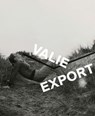 Valie Export - Walter Moser - 9783791379623