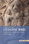 Steinerne Bibel - P. Klaus Schäfer SAC - 9783795435264
