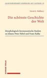 Die schönste Geschichte der Welt - David E. Wellbery - 9783796554605