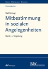 Mitbestimmung in sozialen Angelegenheiten, Band 3 - Holger Dahl - 9783800592852