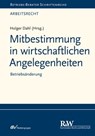 Mitbestimmung in wirtschaftlichen Angelegenheiten - Holger Dahl - 9783800593781