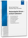 Netzentgelte Strom - einfach kalkuliert - Alexander Klügl ; Ulrich Mahn - 9783800751389