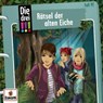 Die drei !!! 97: Rätsel der alten Eiche -  - 9783803267368