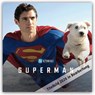 Superman Movie - Offizieller Kalender 2026 -  - 9783803531346