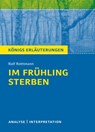 Im Frühling sterben von Ralf Rothmann - Ralf Rothmann - 9783804420601