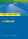 Neujahr von Juli Zeh - Juli Zeh - 9783804420625