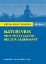 Naturlyrik vom Mittelalter bis zur Gegenwart - Gudrun Blecken - 9783804430310