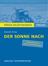 Der Sonne nach. Textanalyse und Interpretation - Gabriele Clima - 9783804431416