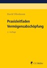 Praxisleitfaden Vermögensabschöpfung - David Ullenboom - 9783811407480