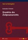 Internationales Umweltrecht - DEDERER,  Hans-Georg - 9783811440203