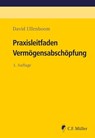 Praxisleitfaden Vermögensabschöpfung - David Ullenboom - 9783811465091