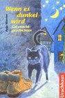 Wenn es dunkel wird - Anja Werner - 9783825173487