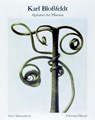 Karl Blossfeldt: Alphabet of Plants - Karl Bloßfeldt - 9783829609128