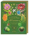 Große und kleine Schätze der Natur. Pflanzen - Ben Hoare - 9783831046959