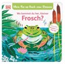 Mein Pop-up-Buch zum Staunen. Wo kommst du her, kleiner Frosch? - Sandra Grimm - 9783831048977