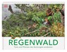Regenwald - Michael Leach ; Meriel Lland - 9783831051458