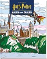 Aus den Filmen zu Harry Potter: Malen nach Zahlen - Panini - 9783833246524