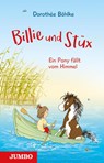 Billie und Stüx 01 - Ein Pony fällt vom Himmel - Dorothée Böhlke - 9783833745744