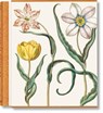 Basilius Besler. The Garden at Eichstatt - Klaus Walter Littger ; Werner Dressendorfer - 9783836594332