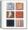 Jan Christiaan Sepp. The Book of Marble - Geert-Jan Koot - 9783836594349