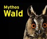 Mythos Wald - Jeanette Schmitz ; Gasometer Oberhausen GmbH - 9783837527643