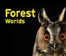 Forest Worlds - Jeanette Schmitz ; Gasometer Oberhausen GmbH - 9783837527650