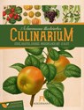 Culinarium Wochenplaner Kalender 2027 | Küche, Kräuter, Kurioses -  - 9783838427997