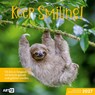 Keep Smiling Kalender 2027 - 30x30 - Art12 -  - 9783838447223