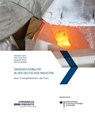 Energieflexibilität in der deutschen Industrie - Alexander Sauer ; Hans Ulrich Buhl ; Alexander Mitsos - 9783839621660