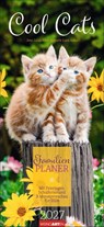 Cool Cats Familienplaner 2027 -  - 9783839903711