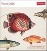Fische Postkartenkalender 2026 - Postkartenkalender mit 53 historischen Zeichnungen -  - 9783840037917