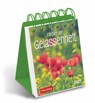 Ein Jahr der Gelassenheit Mini-Geschenkkalender 2027 -  - 9783840039102