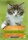 Ein Katzenkind kommt ins Haus - Susanne Vorbrich - 9783840463150