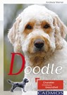 Doodle - Andreas Werner - 9783840463778