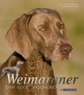 Weimaraner - Jochen Becker ; Bettina Nitschke - 9783840464218