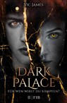 Dark Palace - Für wen wirst du kämpfen? - Vic James - 9783841440129