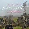 Faltin, T: Verborgene Schönheit - FALTIN,  Thomas - 9783842520400