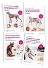 Demonstrationstafeln für die Kleintierpraxis Hund, Katze, Parasiten und Zahnheilkunde 4 Bde. im SET -  - 9783842601260