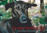 Es muss ein Hund sein - Iris Sabine Wolff - 9783844808445