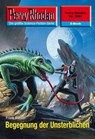 Perry Rhodan 2594: Begegnung der Unsterblichen - Frank Borsch - 9783845325934