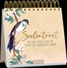 Seelentrost -  - 9783845849591