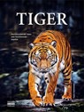 Tiger - Paula Hammond - 9783846830055