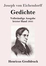 Gedichte (Grossdruck) - Joseph Von Eichendorff - 9783847831730