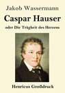 Caspar Hauser oder Die Tragheit des Herzens (Grossdruck) - Jakob Wassermann - 9783847842316