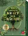 Orakelkarten: Die verborgene Kraft der Bäume - Kristin Funk - 9783848503759