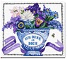 Ich denk an dich - Molly Hatch - 9783848525003