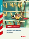 Stark in Mathematik - Prozesse und Matrizen Oberstufe -  - 9783849021177